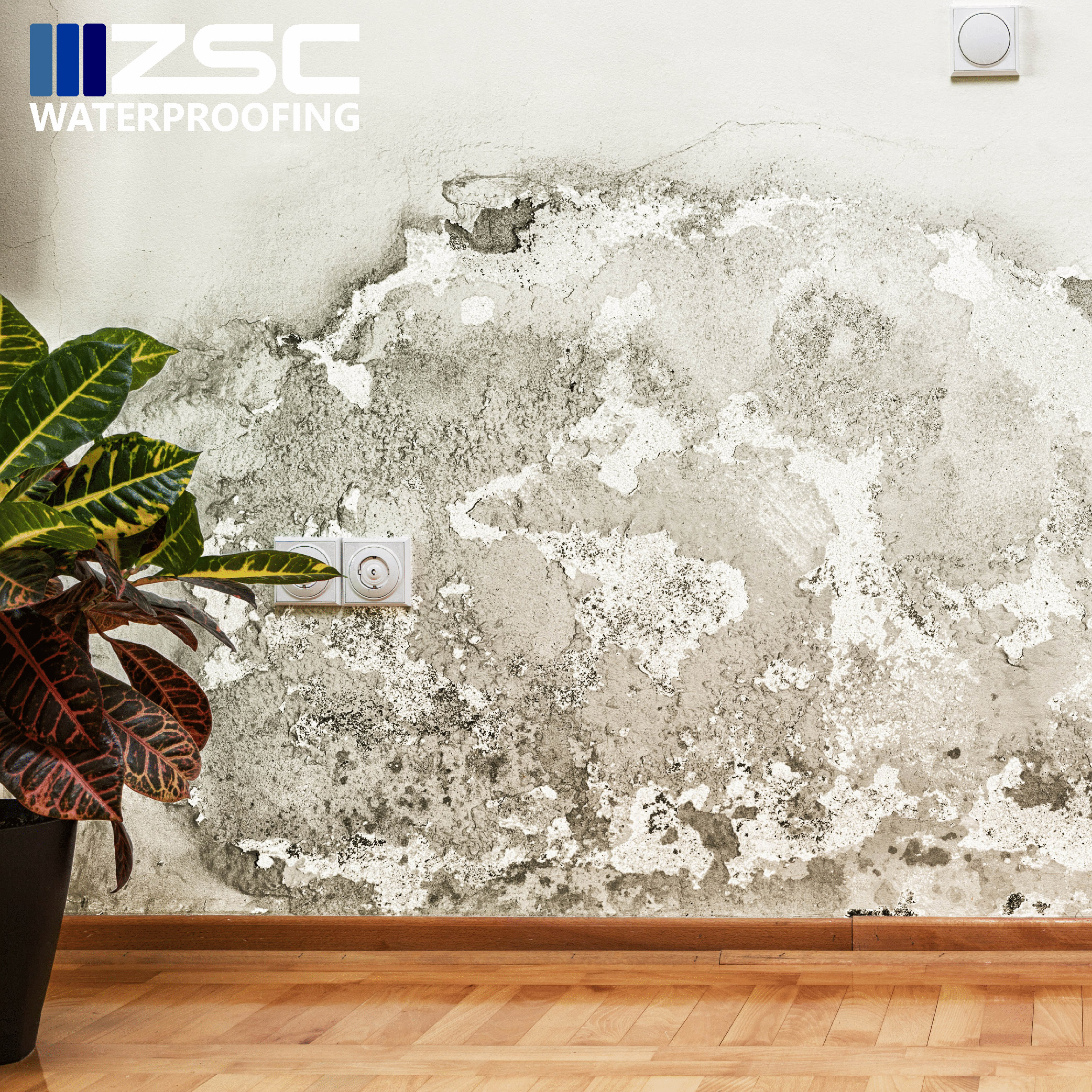 Can Waterproofing Prevent Mold and Mildew Growth?