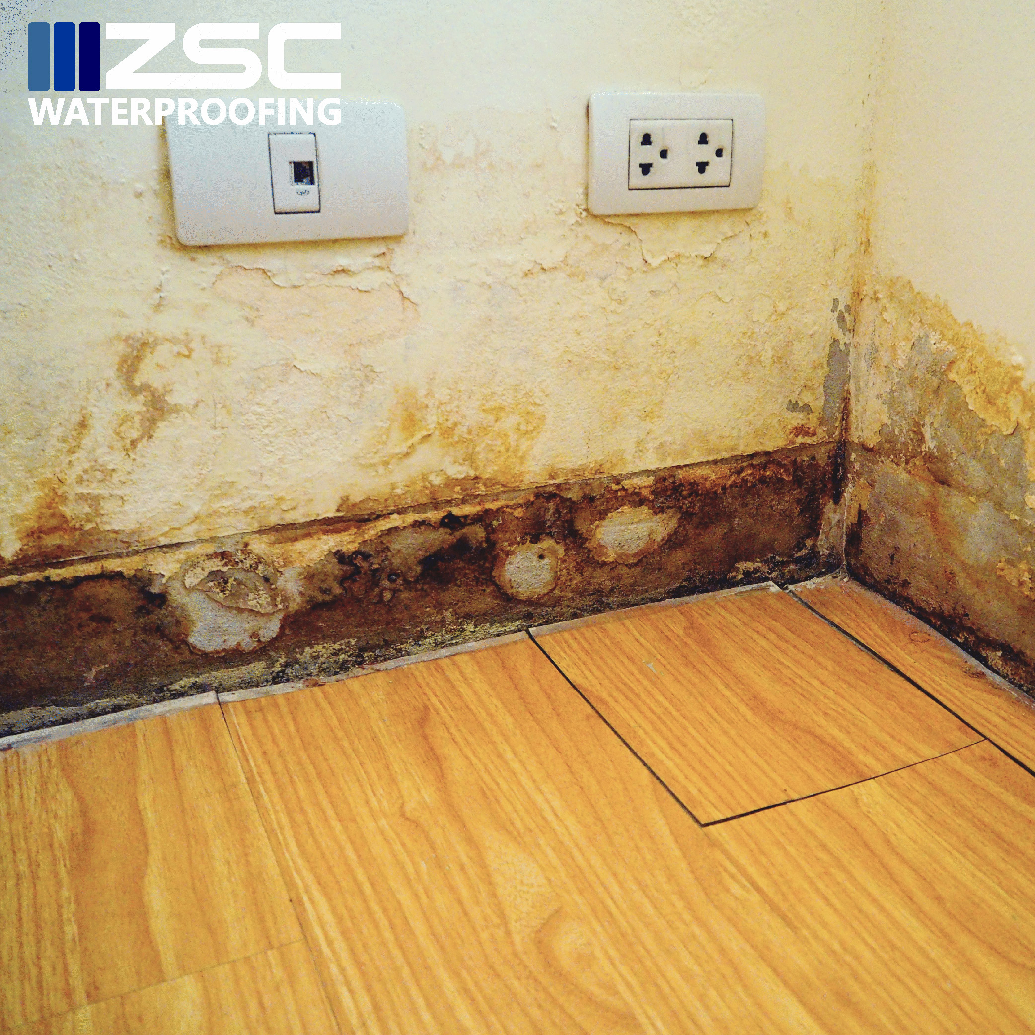 Common signs of water damage